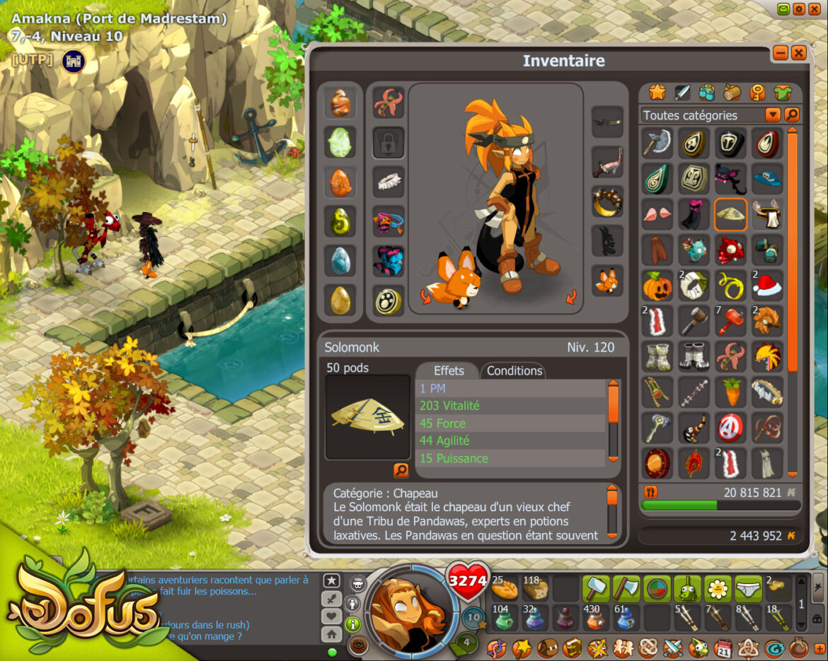 Comment Monter Un Eni Eau Dofus Touch Sos Ordinateurs Guides