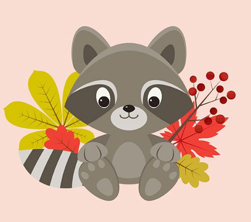 Tutoriel-Raccoon-Character-Adobe-Illustrator