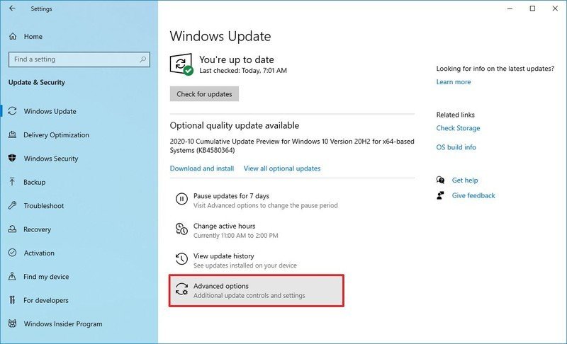 Windows Update avec les options avancées sélectionnées