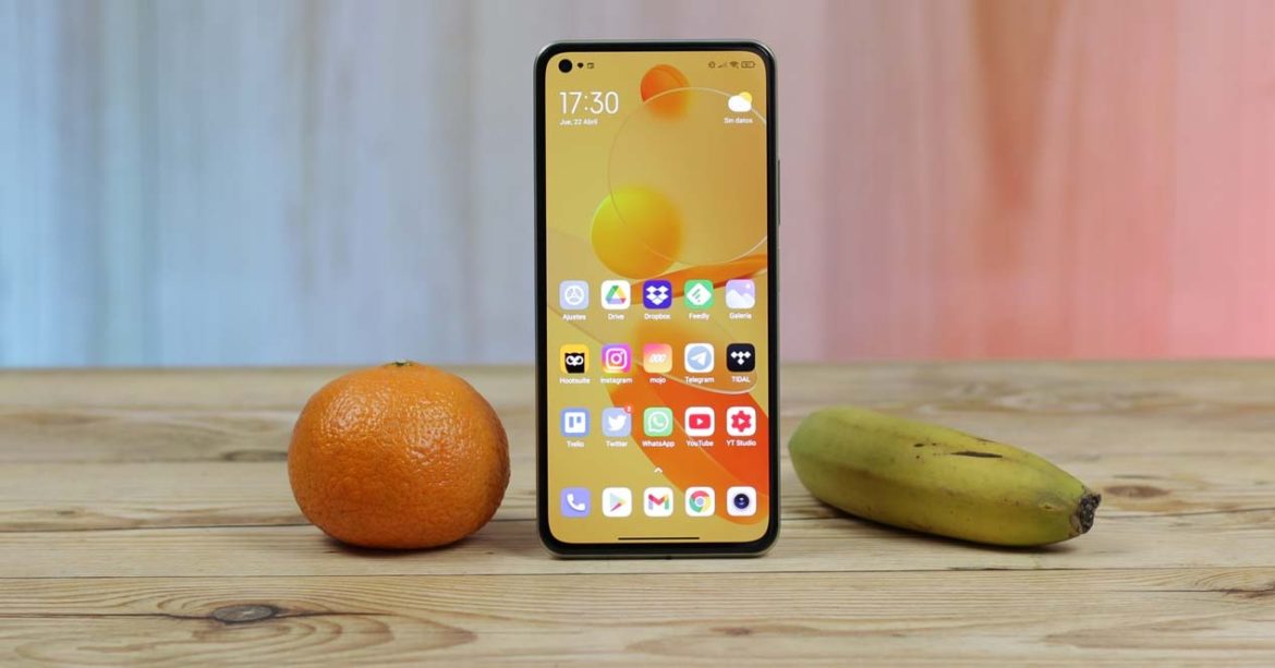 Xiaomi Mi 11 Lite 5G con frutas