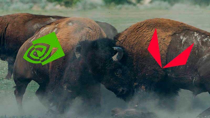 AMD contre NVIDIA