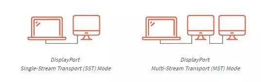 Transport multi-flux DisplayPort