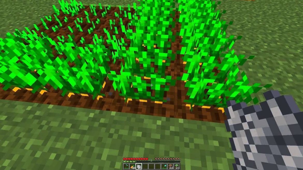 Comment trouver des graines de carottes dans Minecraft ? – SOS