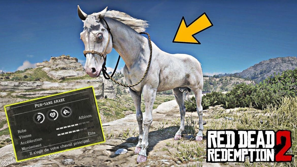 How to find the legendary horse rdr2?