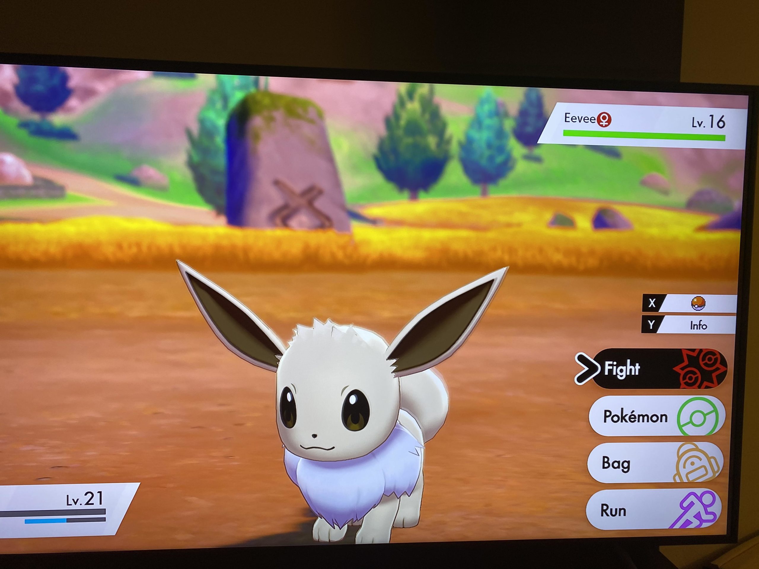 how-rare-is-a-shiny-eevee