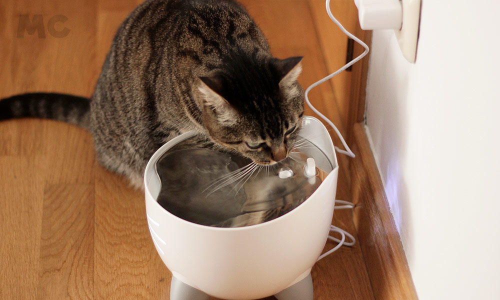 Fontaine intelligente Catit PIXI : technologie à quatre pieds 41