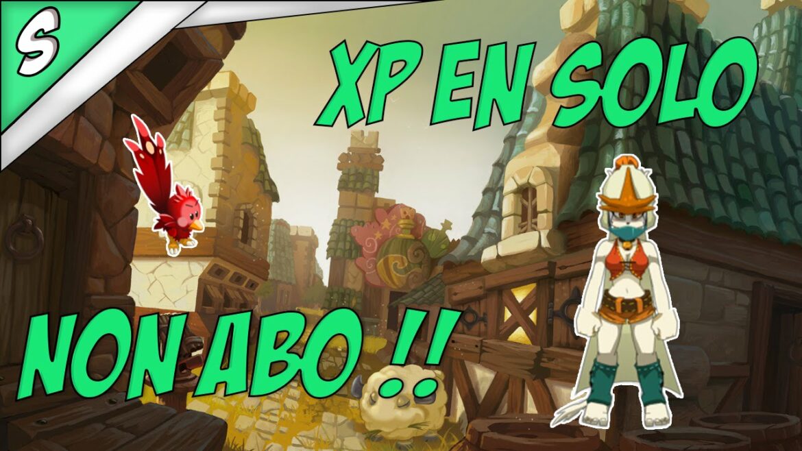 Ou XP au lvl 80 Dofus ?