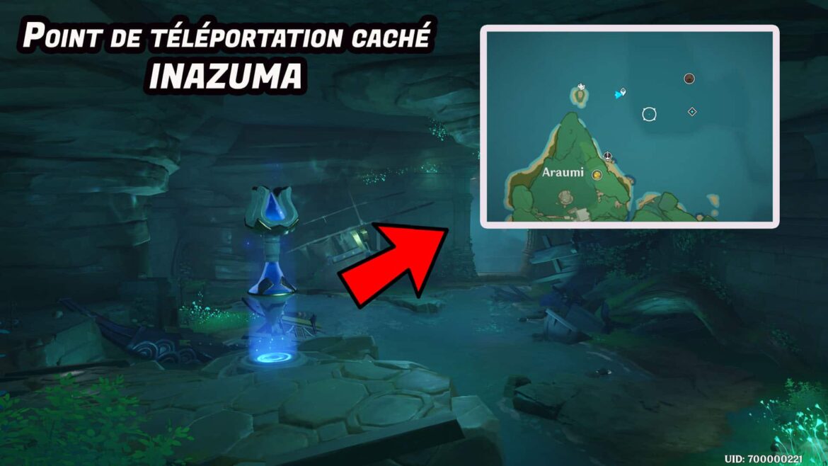 Quel niveau Inazuma ?