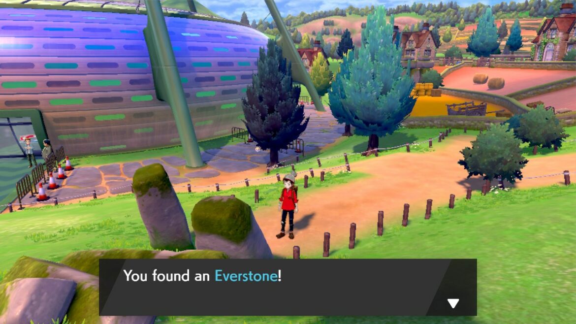 Où trouver du bois ?