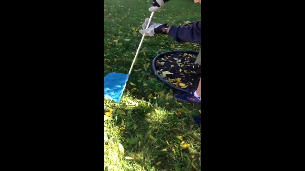 Où trouver Giratina ?