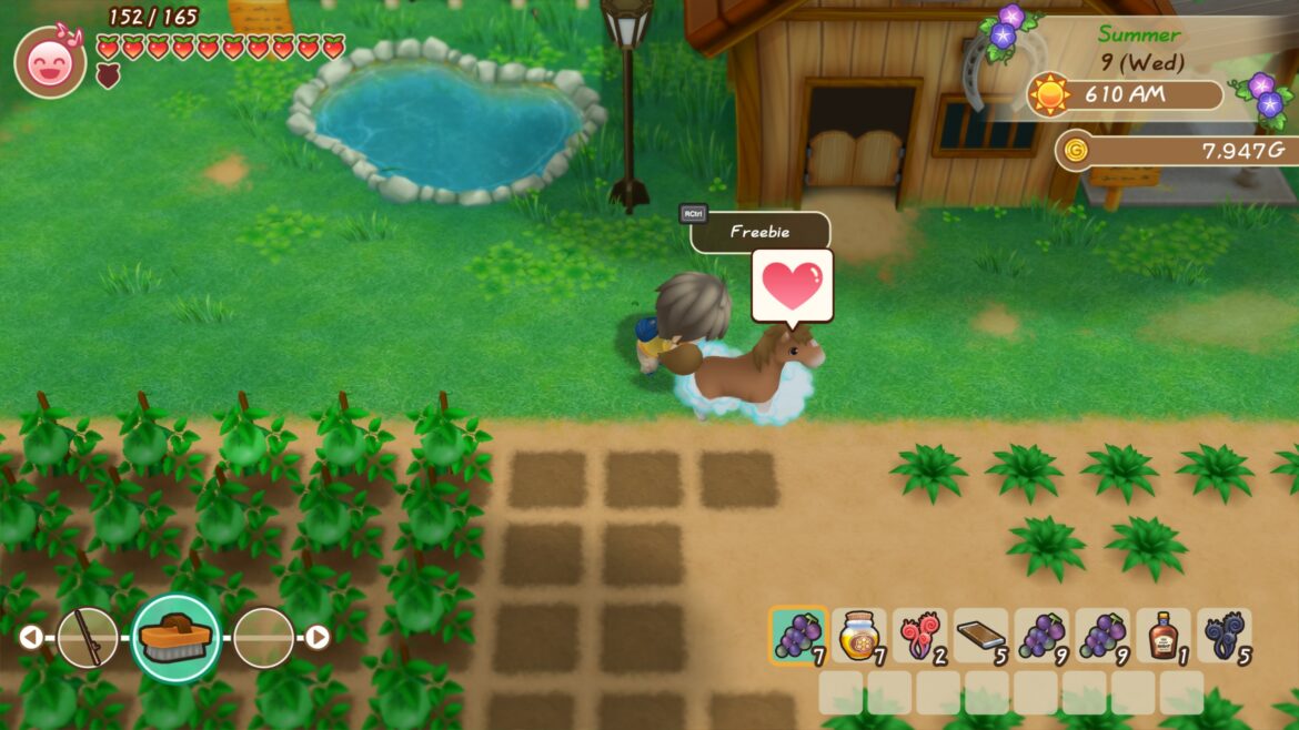 How long is olive town?