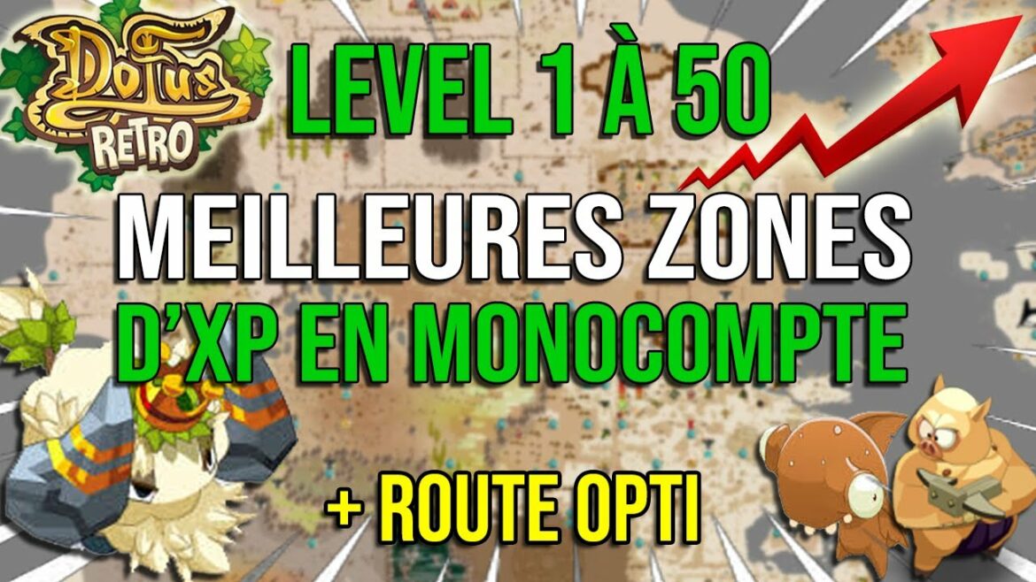 Comment jouer Sacrieur Dofus rétro ?