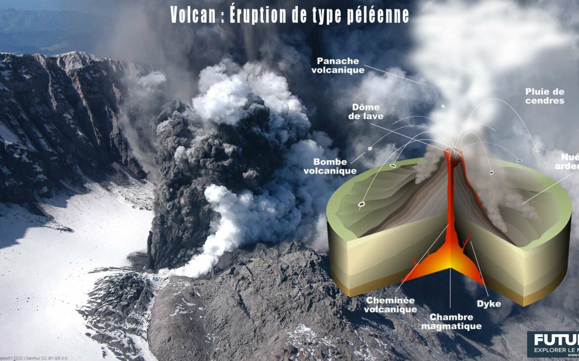 Quelle est le rôle du vassal ?