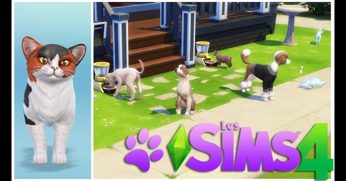 Comment devenir immortel Sims 4 ?