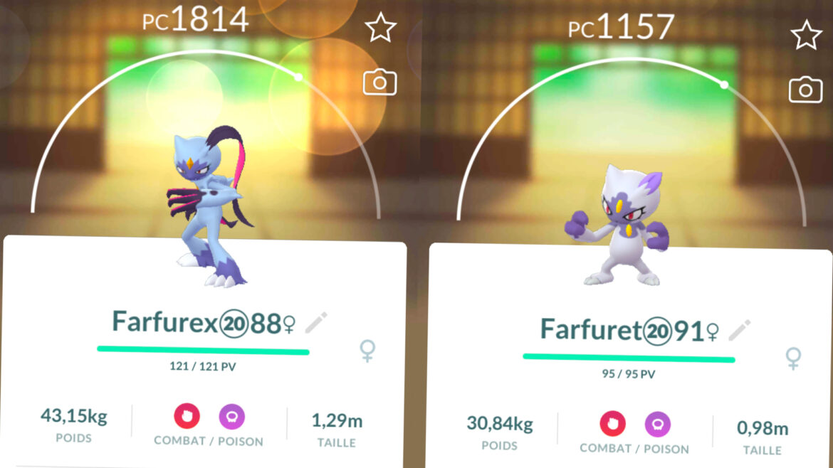 Comment faire evoluer Furaiglon en Gueriaigle ?