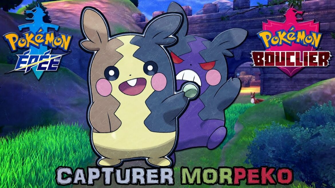 Comment jouer Kapoera ?