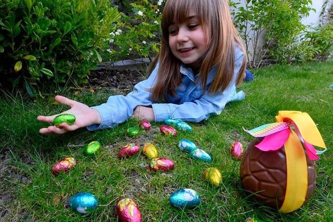 Quel est le prix moyen de 6 œufs ?