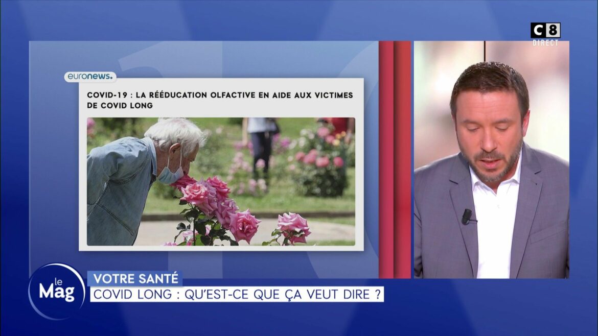 Qu'est-ce que ça veut dire Pokémon ?