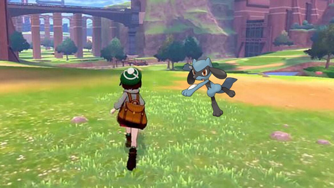 Comment faire évoluer Riolu rapidement ?