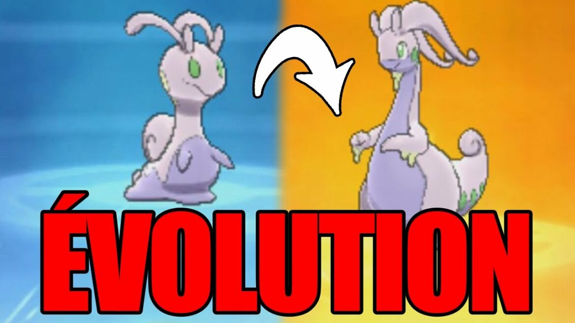 Comment faire evoluer cheniti ?