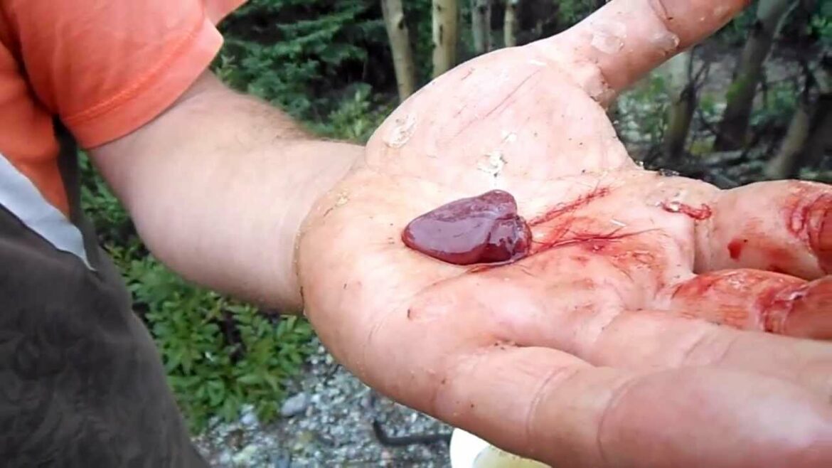 Comment vaincre un Pokémon Poison ?