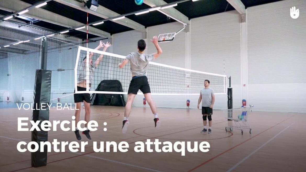 Comment avoir un bon Carchacrok ?