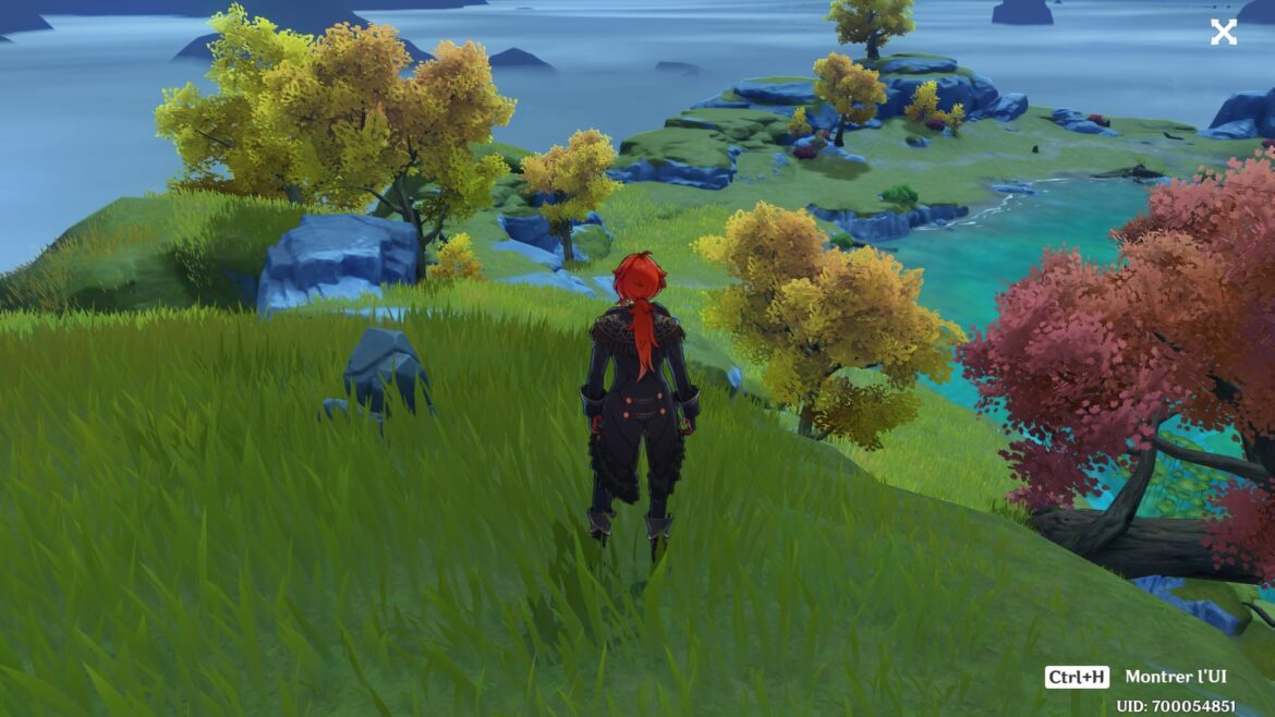 Quel Pokémon pour battre Blizzaroi ?