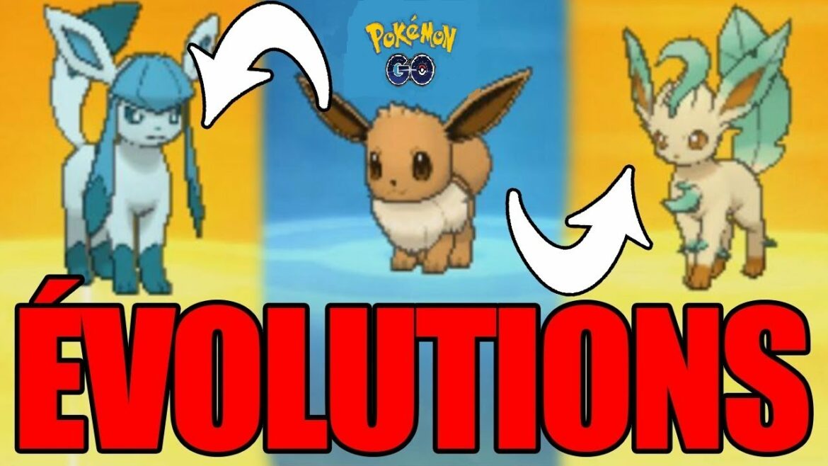 Comment obtenir toutes les évolutions d Évoli ?