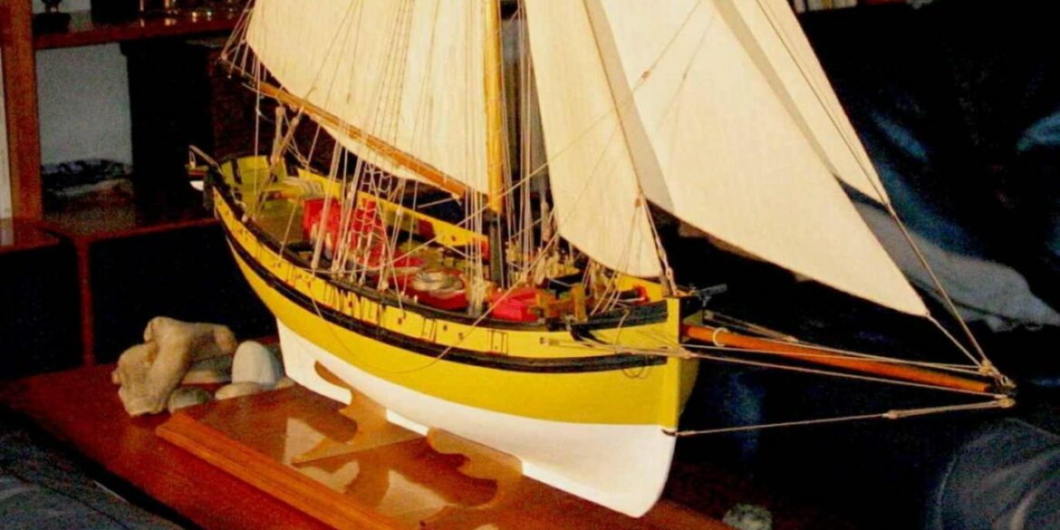 Comment faire un tour de bateau sur Animal Crossing ?