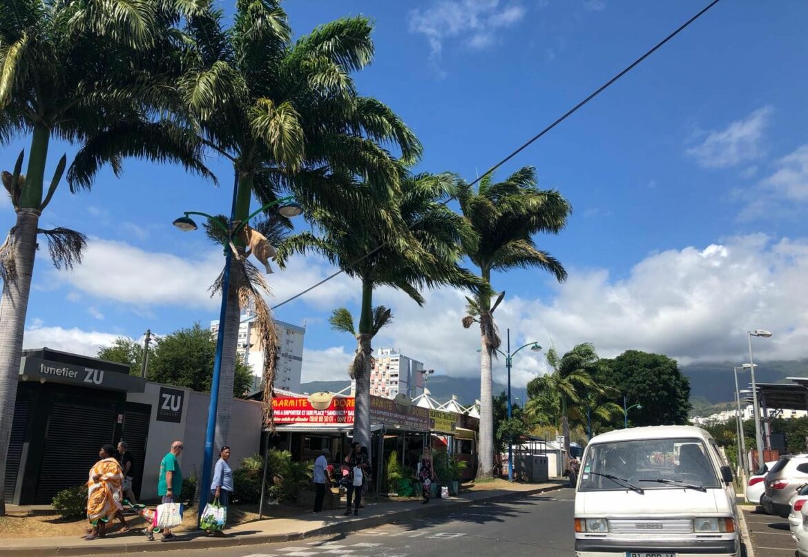 Comment voyager en bateau Animal Crossing ?