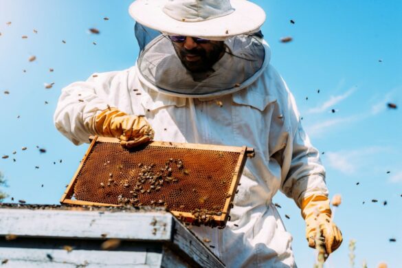 Comment est fabriqué le miel industriel ?