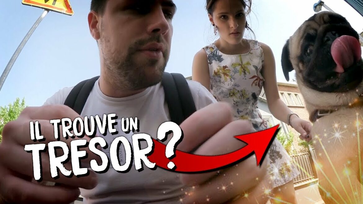 Estce que le scarabée est dangereux ? SOS Ordinateurs Guides, Trucs & Astuces pour booster