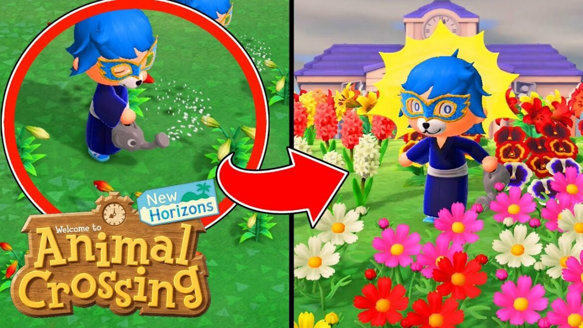 Où Peut-on jouer à Animal Crossing ?