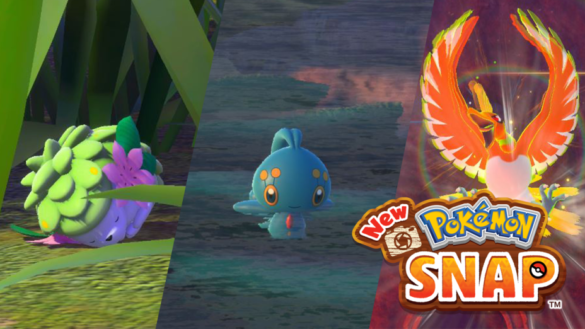 Quelle est la meilleure équipe de Pokémon ?