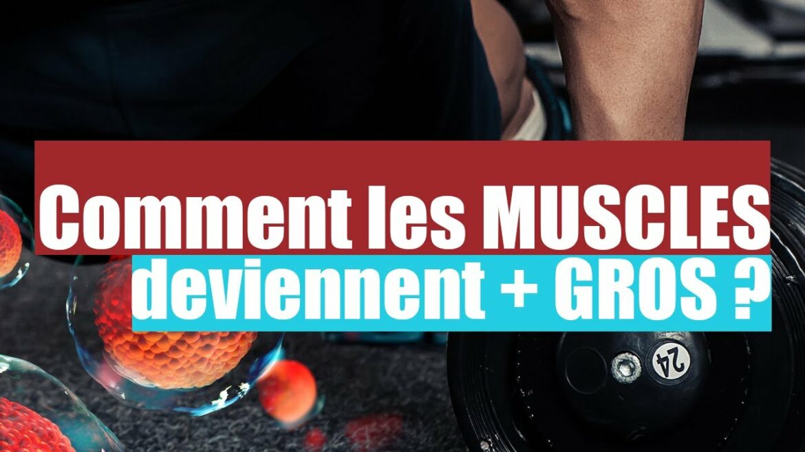 Est-ce qu'un sims peut maigrir ?