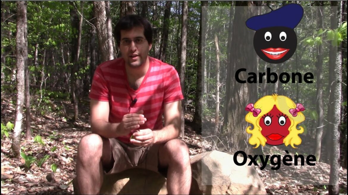 Quand es que Magicarpe apprend une attaque ?