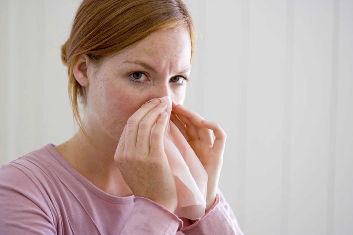 Quand revient Démétéros Pokémon Go 2022 ?