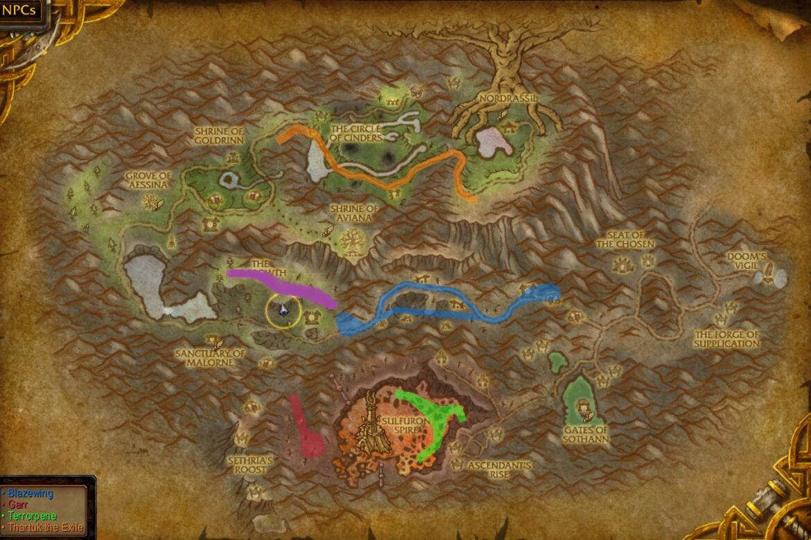 Why is Ankha so rare?