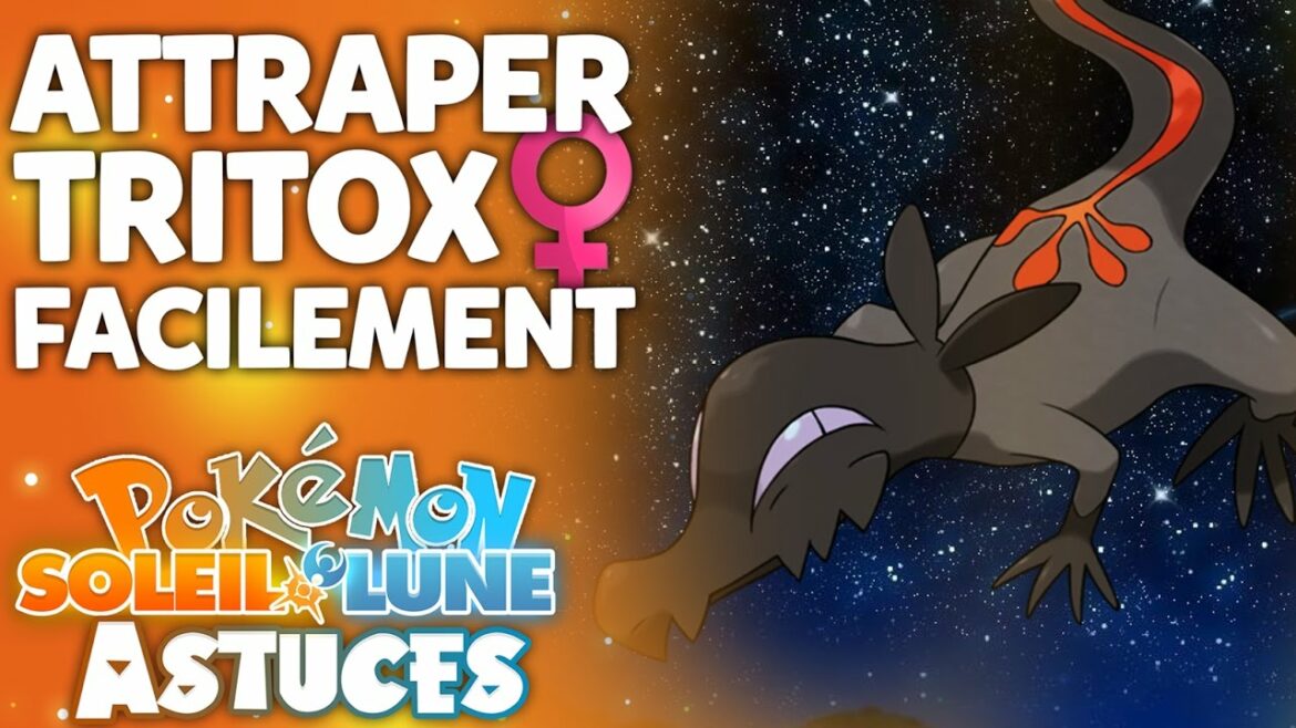 Comment faire évoluer Sucreine ?