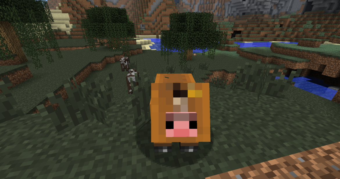 Qu'est-ce qui attire les vaches ?