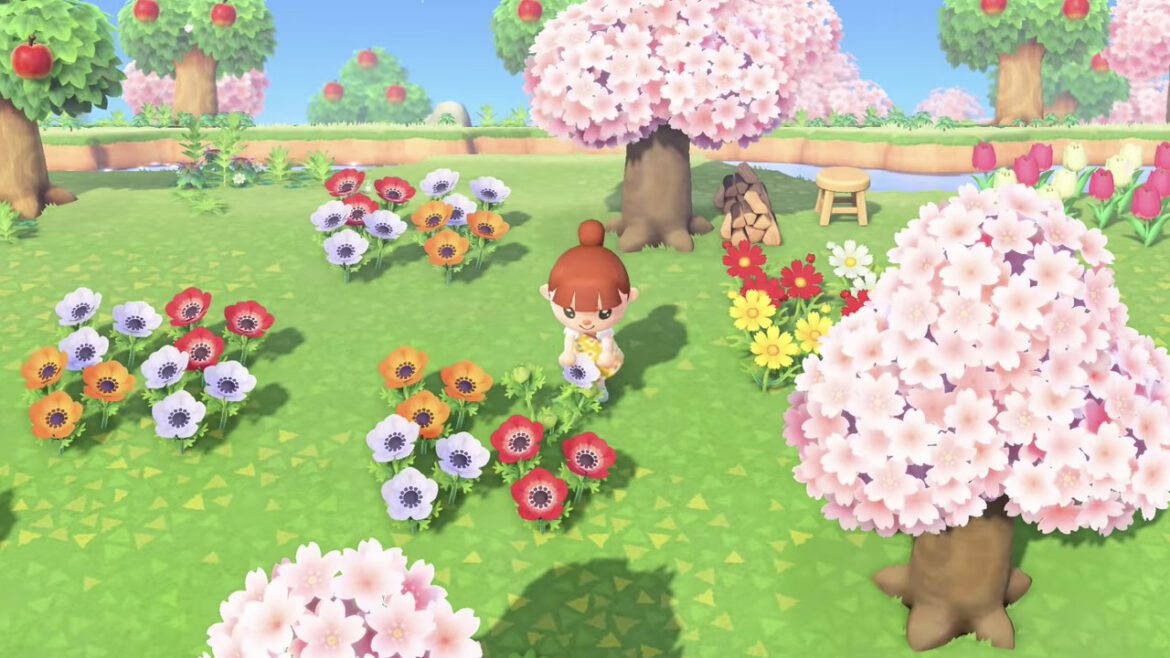 Comment aller sur une île rare Animal Crossing ?