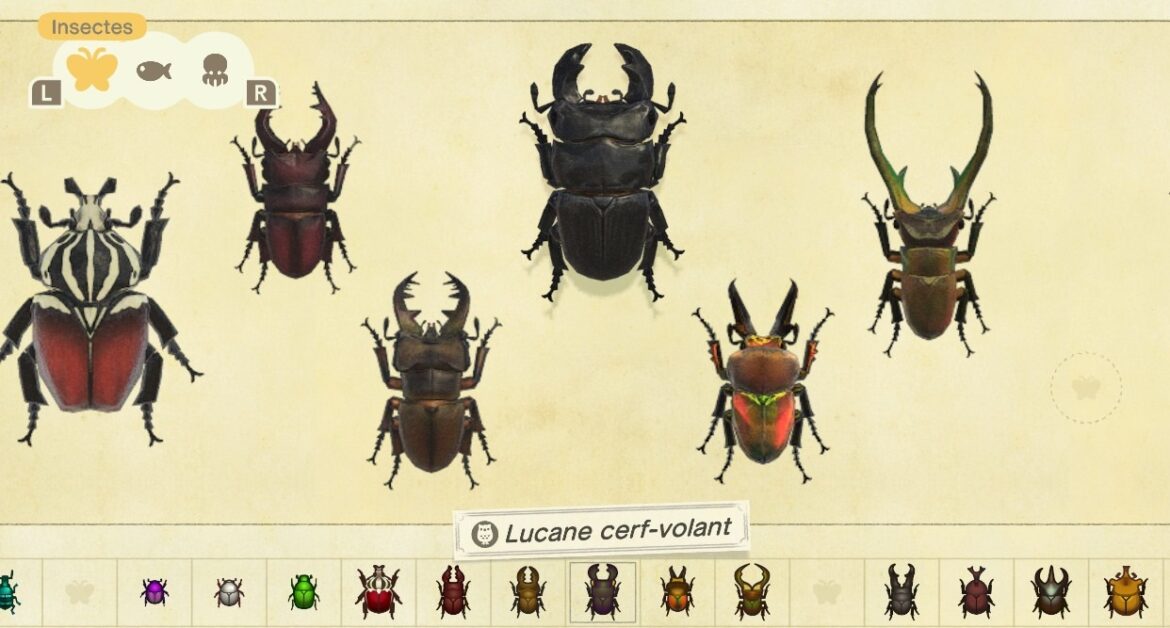 Comment tomber sur une île rare Animal Crossing ?