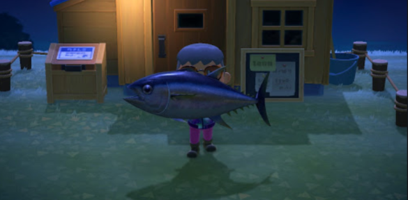 Quel est le poisson le plus cher en France ?