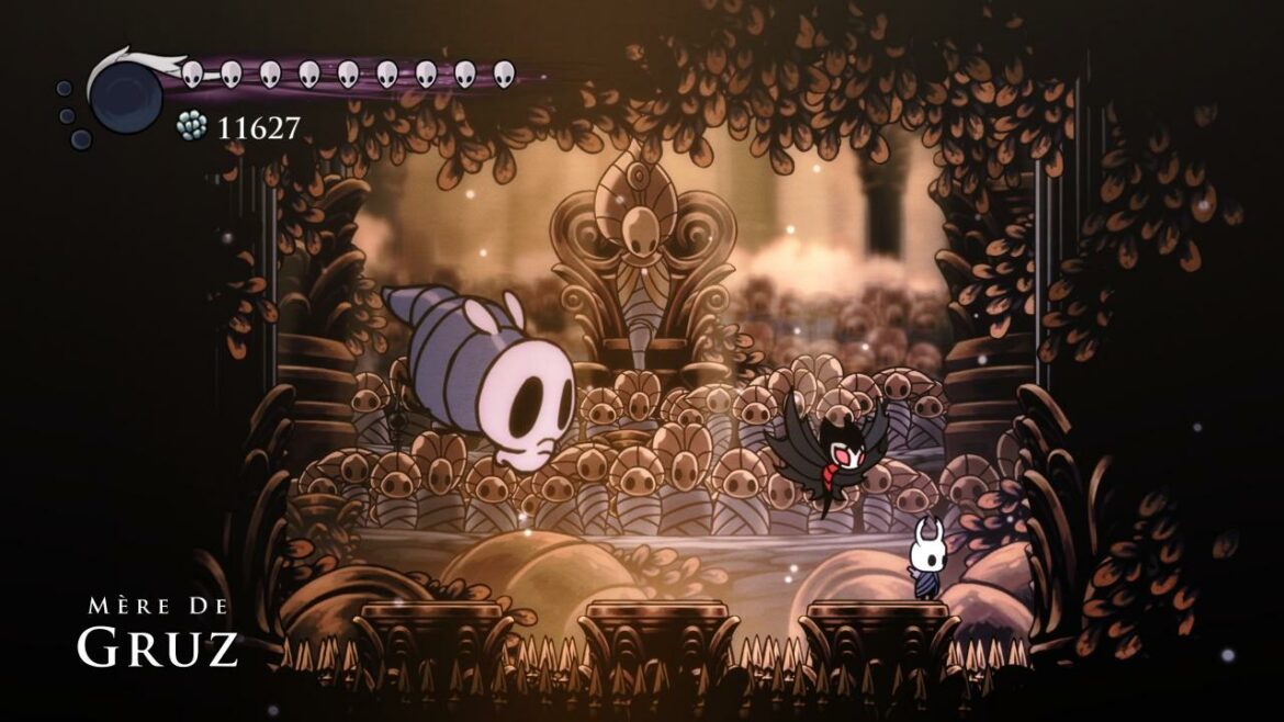 Quel insecte est Hollow Knight ?