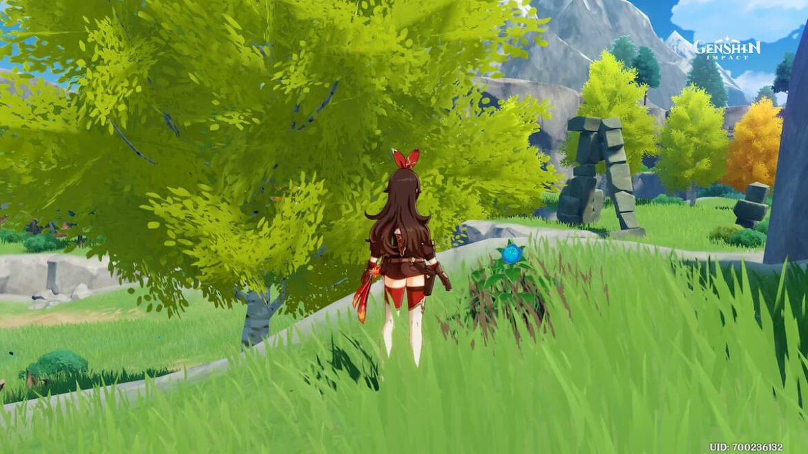 Où trouver la Coupe Genshin Impact ?