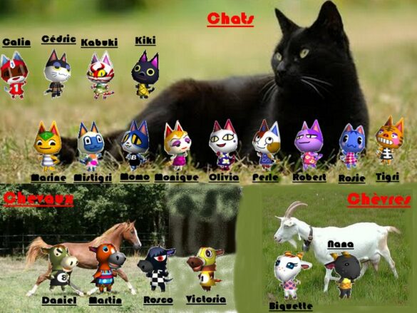 Qui est Octoborg dans Animal Crossing ?