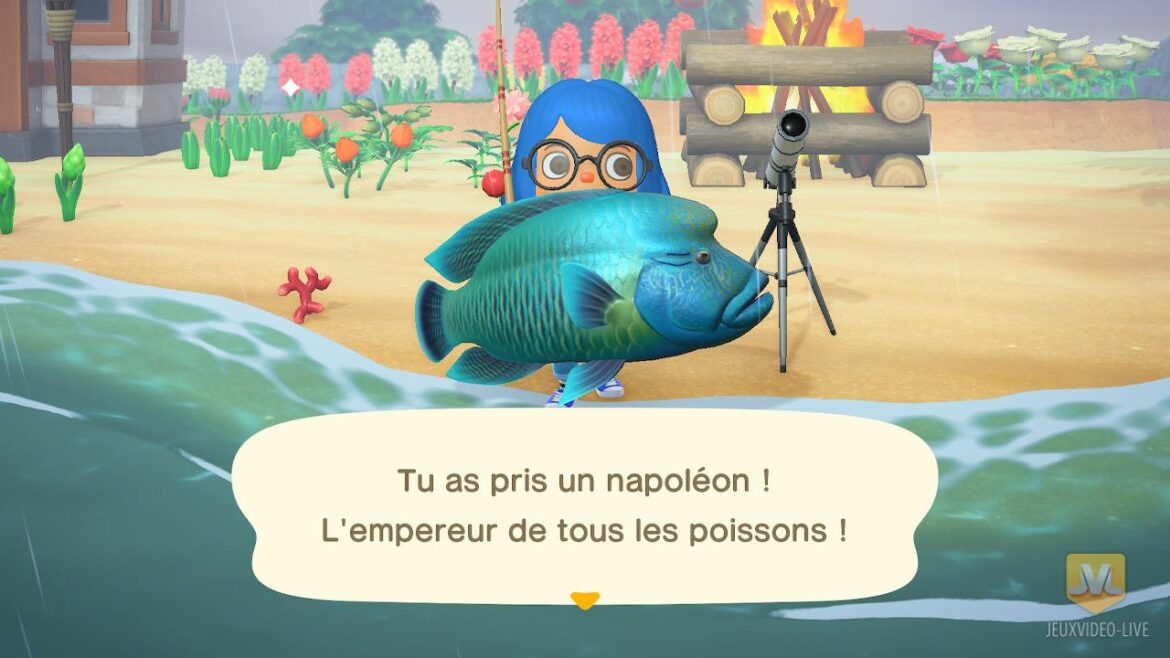 Comment avoir le Dai Yu ?