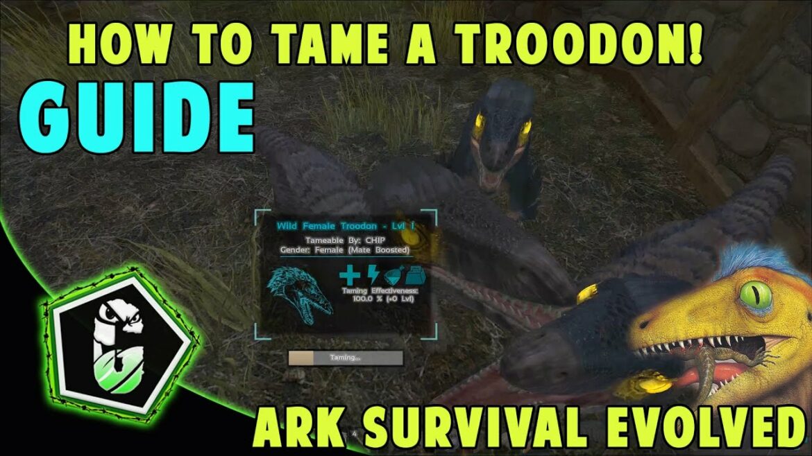 How do you tame a dodo without killing it?