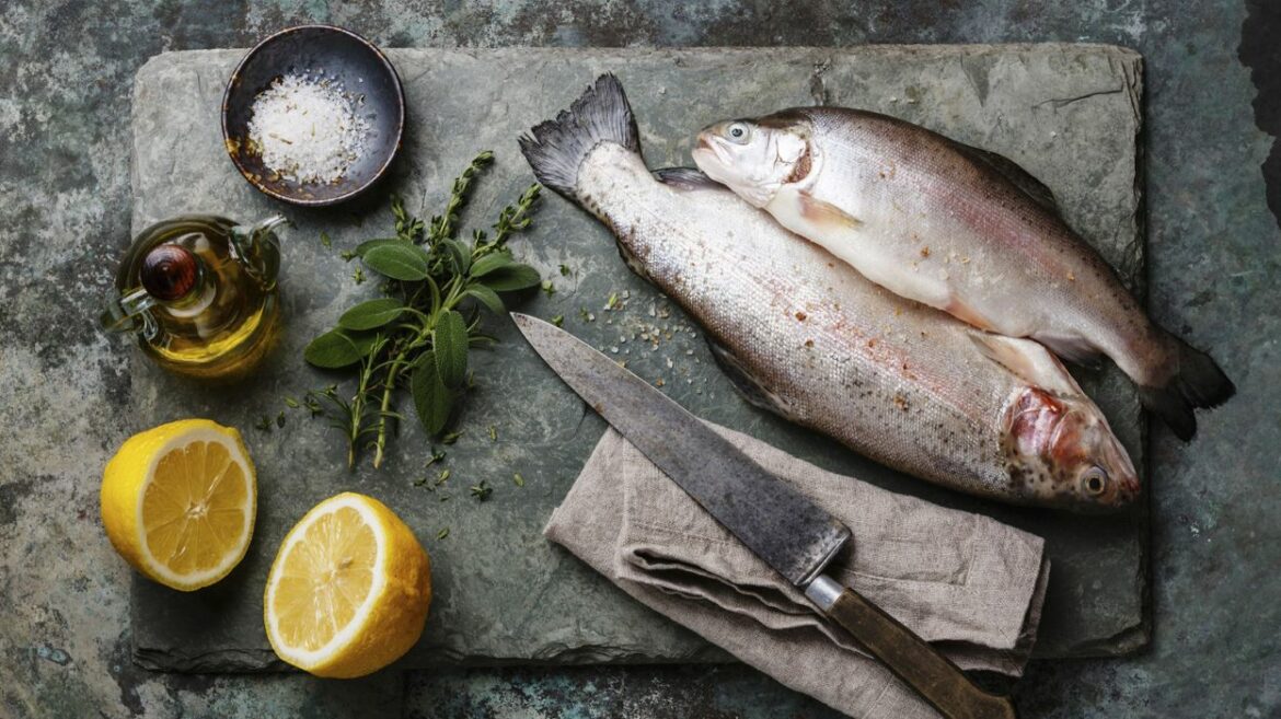 Comment attirer et retenir les poissons sur un coup ?