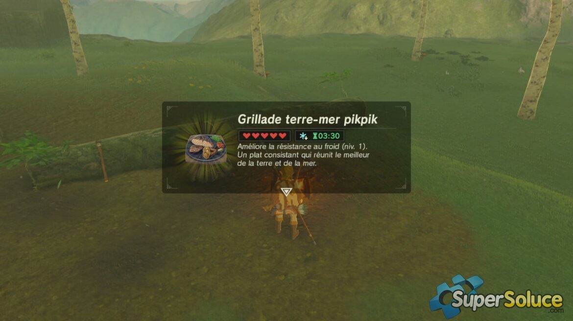 Comment se réchauffer dans Zelda ?